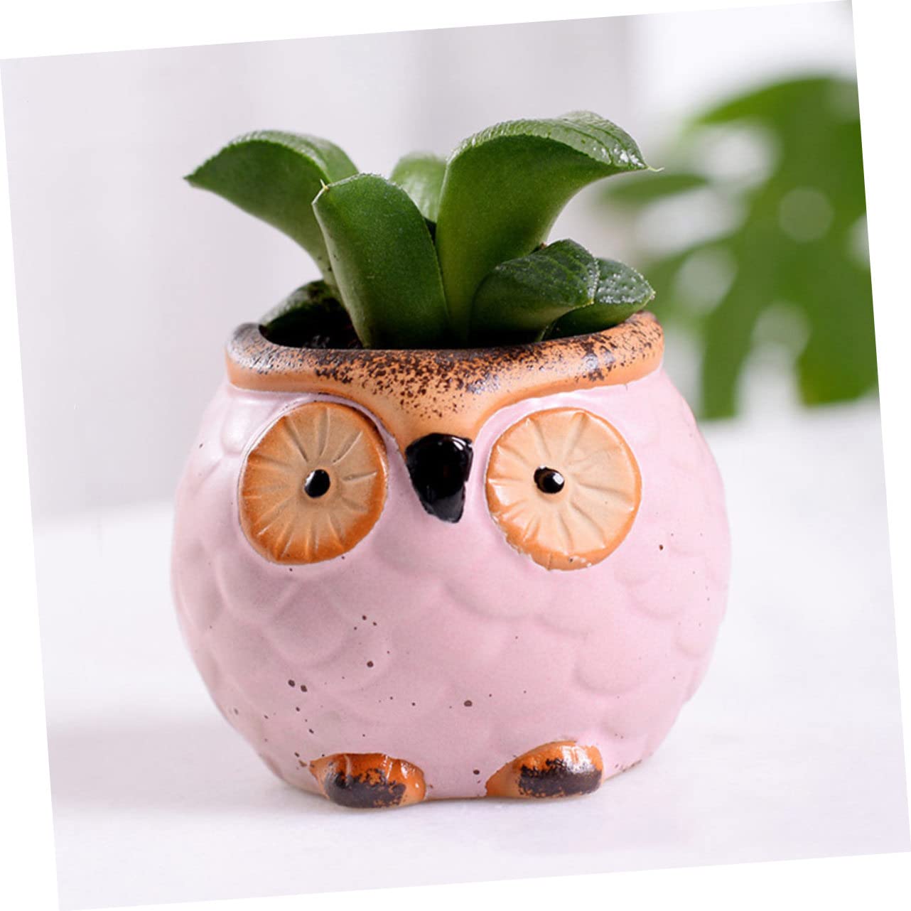 Amazon.co.jp: 愛らしいフクロウのセラミック植木鉢 3個入り ミニ