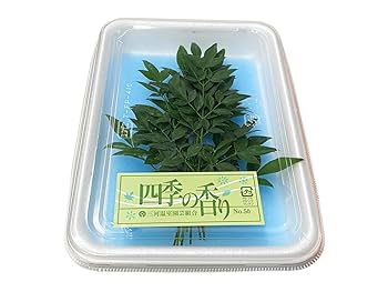Amazon | かざり葉 小葉南天タテ（縦詰め）10枚入り | 生鮮卸売