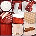 LANDTOM Entry level Rosewood（花梨） Chinese Lute Traditional National Stringed Instrument PiPa (adults-rosewood)