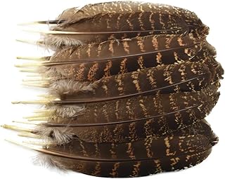 10 pcs/Lot Rare Natural Pheasant Feathers for Needlework Crafts Chicken Feather Decor Accesorios Decoration Natural
