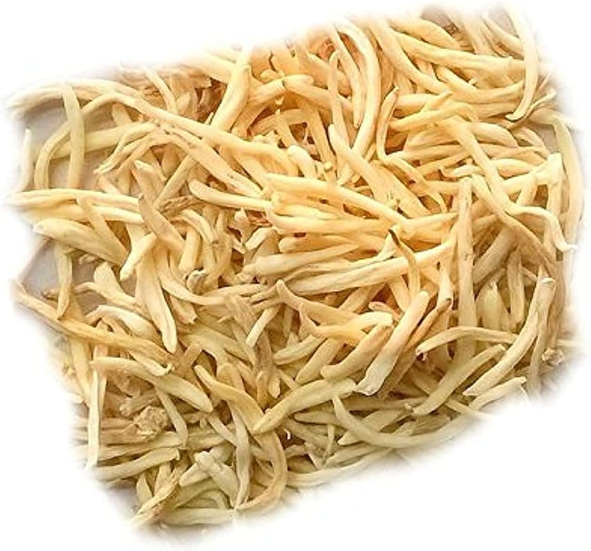 Safed Musli / Chlorophytum Borivilianum Root herb(100 GM)