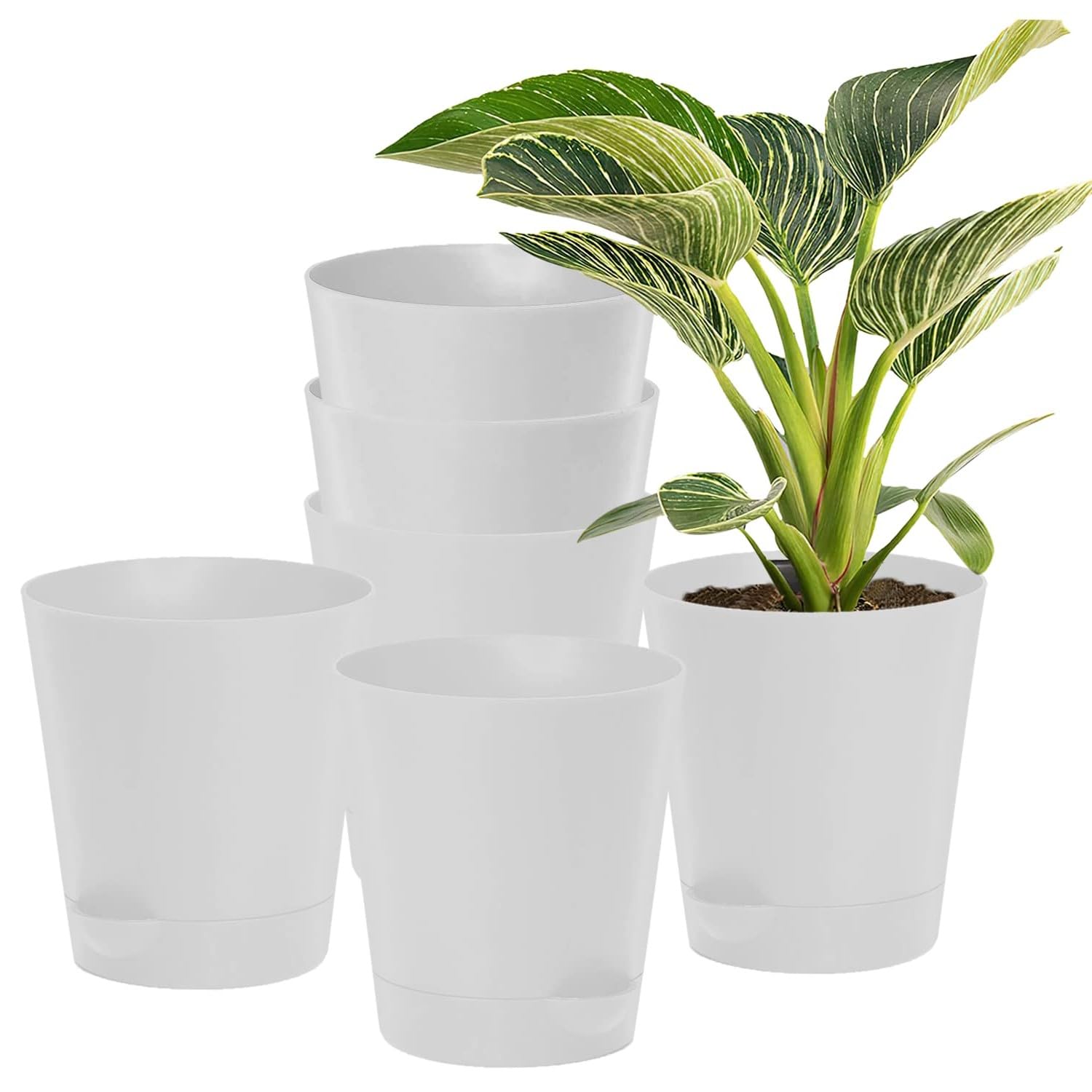 Guruji Plantation Self Watering Pots for Plants Home Decor Round Pot Set of 6 (4 Inch) for Home, Garden and Society (White) (B0CH3S97J5) Amazon Price History, Amazon Price Tracker