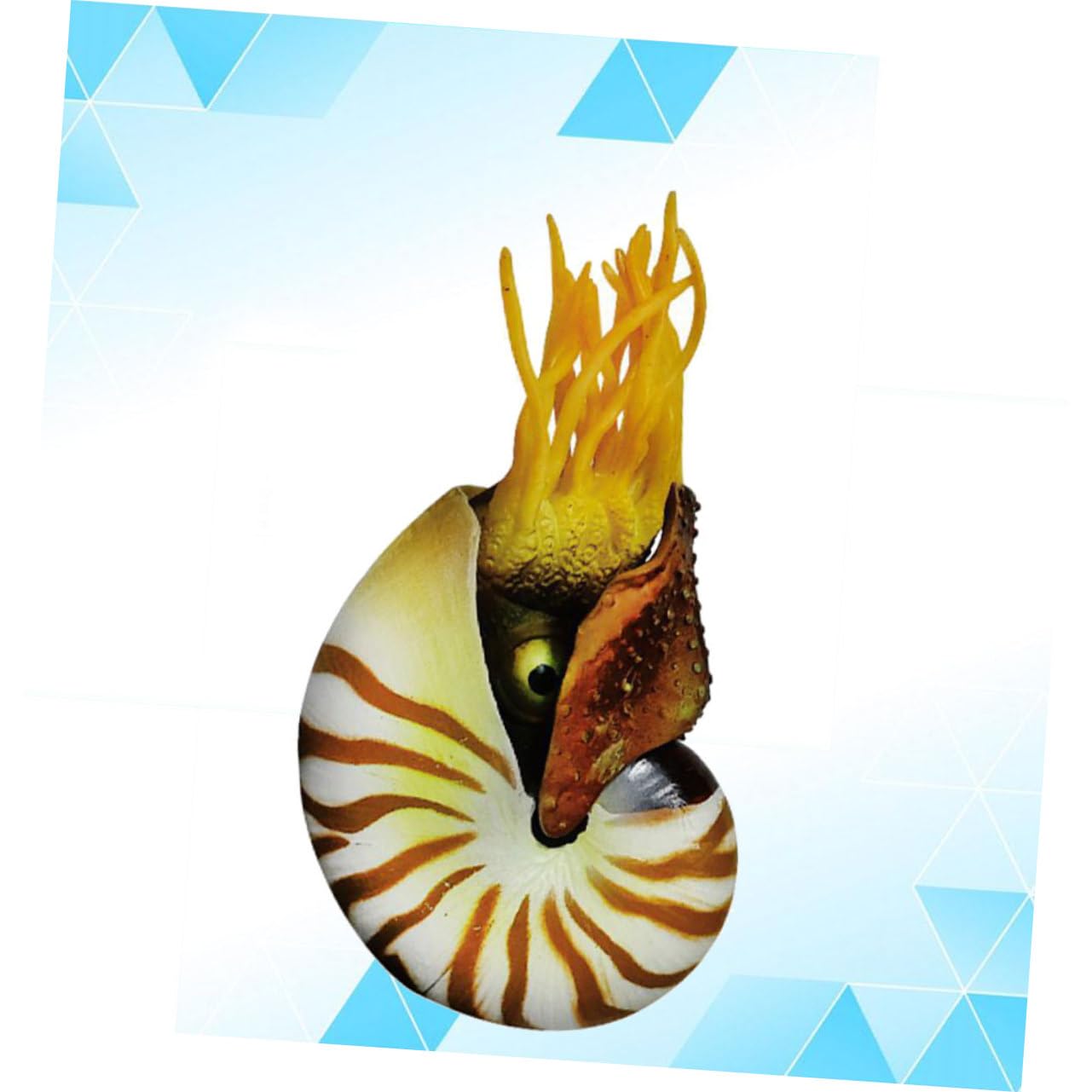 ULTECHNOVO 2 Pezzi Decorazioni a Guscio Conchiglia Nautilus Arredamento di Conchiglie Decorazione di Grandi Dimensioni Conchiglie di Mare Conchiglie di Acquari Acquario