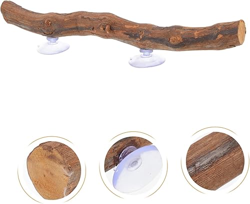 Miniatura 3 de Mipcase Soporte de lagarto para mascotas, serpientes, rama, lagarto, suministros para plantas, decoración del hogar, decoración decorativa,