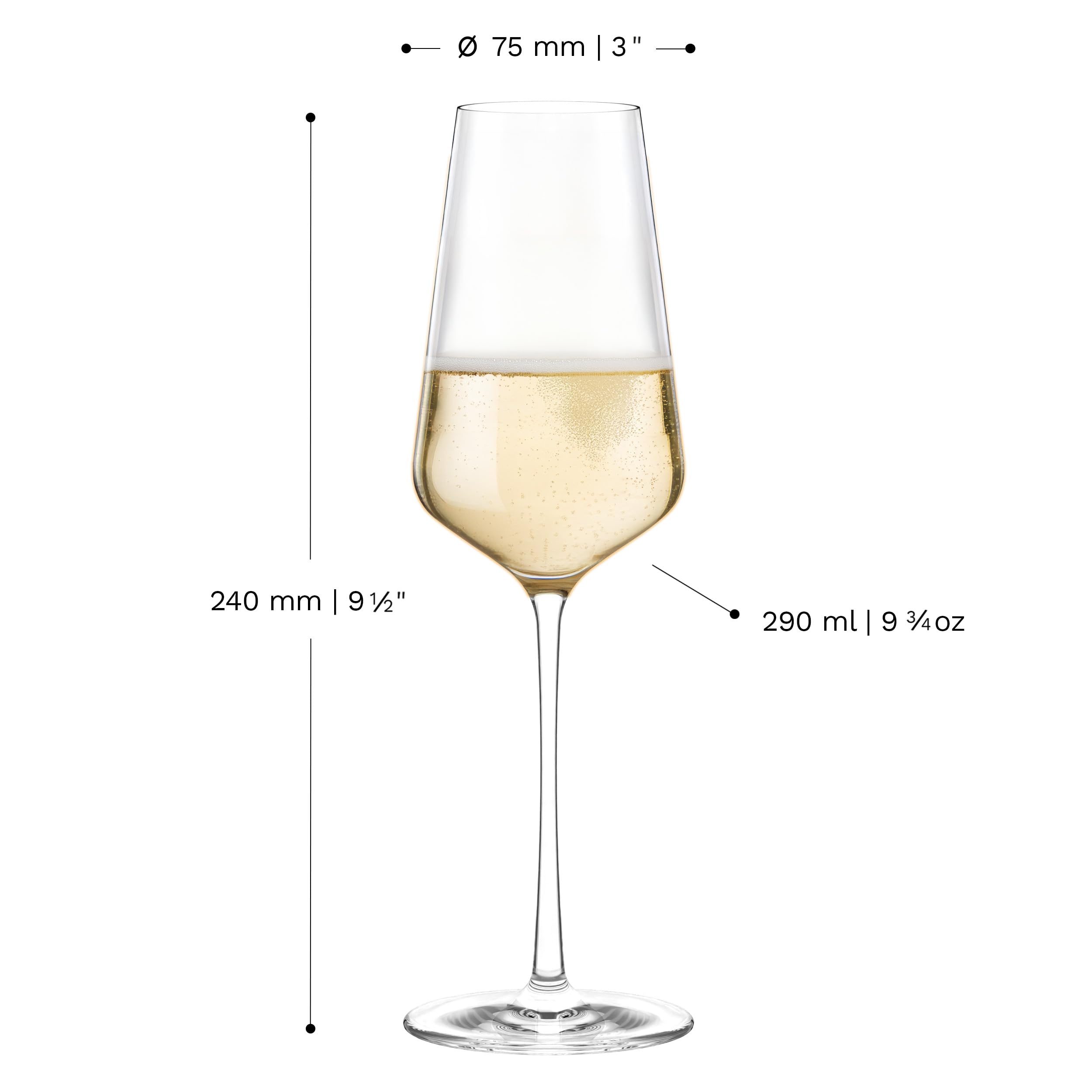 Stölzle Lausitz Starlight Champagnergläser Sektgläser 290 ml, 6er-Set | Elegante Champagnergläser und Sektkelche für Sekt und Prosecco, aus bleifreiem Kristallglas, stoßfest & spülmaschinengeeignet