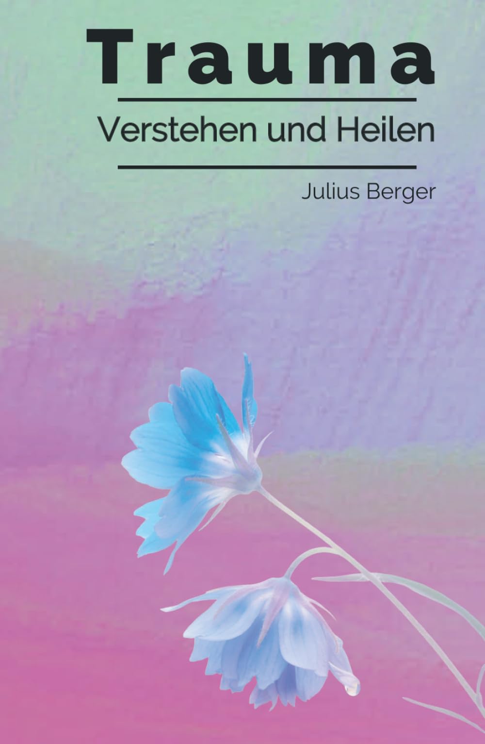 Trauma verstehen und heilen: Ein verständlicher Leitfaden bei Trauma, Triggern und Flashbacks – mit konkreten Strategien für mehr innere Sicherheit