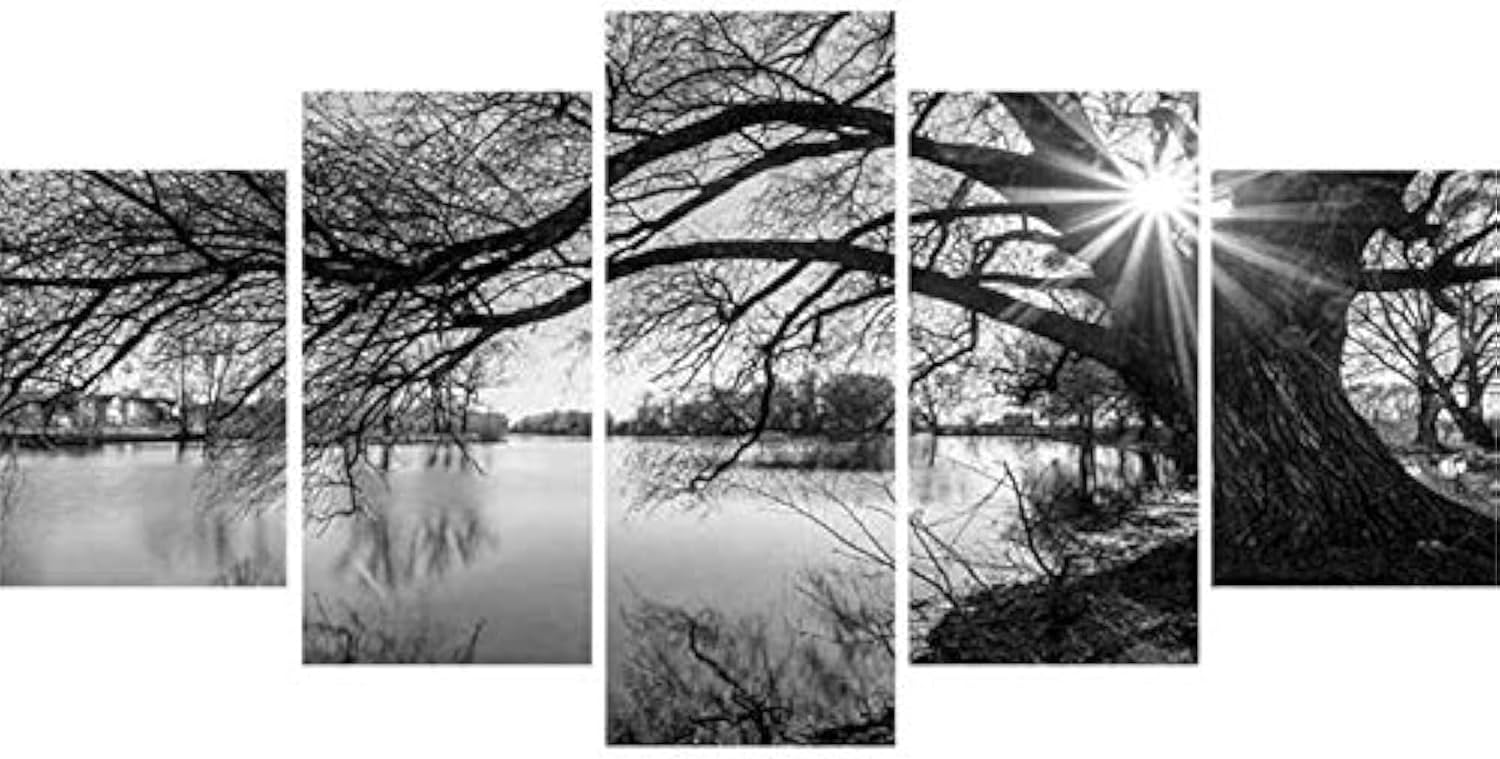 DIY 5D Full Diamond Art Kit,Black and White Tree Lake Surface Sunshine 5 Piece Multi Diamond Art Kits for Adults Paint with Diamonds Kits Diamonds Embroidery by Numbers 17.7x37.4 inch