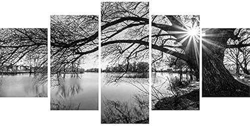 Kit de arte completo de diamantes 5D para bricolaje, árbol blanco y negro, superficie de lago, 5 piezas, kit de arte multidiamante para adultos,