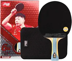 DHS Raquete de tênis de mesa 6 estrelas, cabo de haste 6002/6006 ou suporte para caneta, raquete de pingue-pongue da série Superstars com um protetor de borracha Ppbigu / película de proteção de