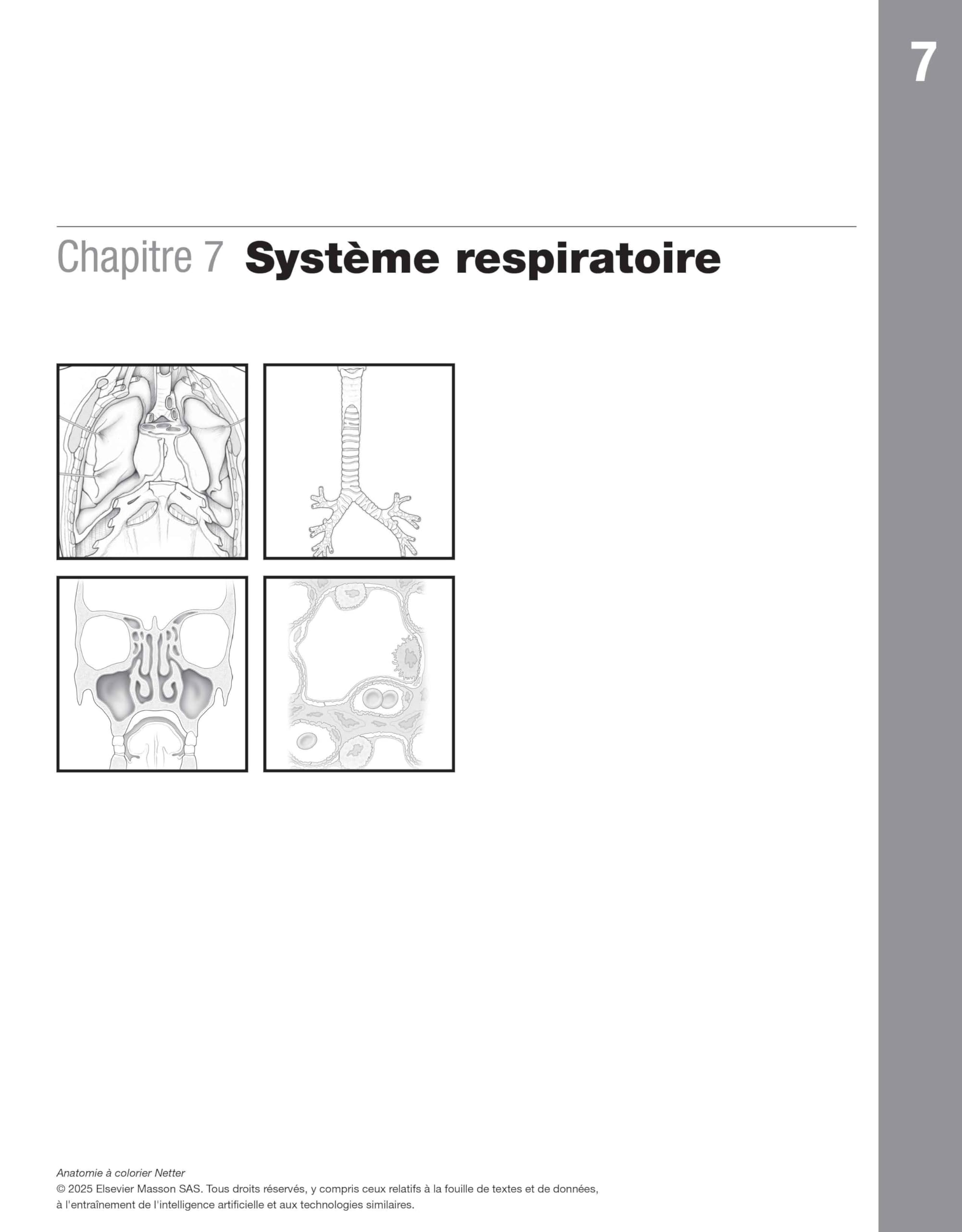 Anatomie à colorier Netter