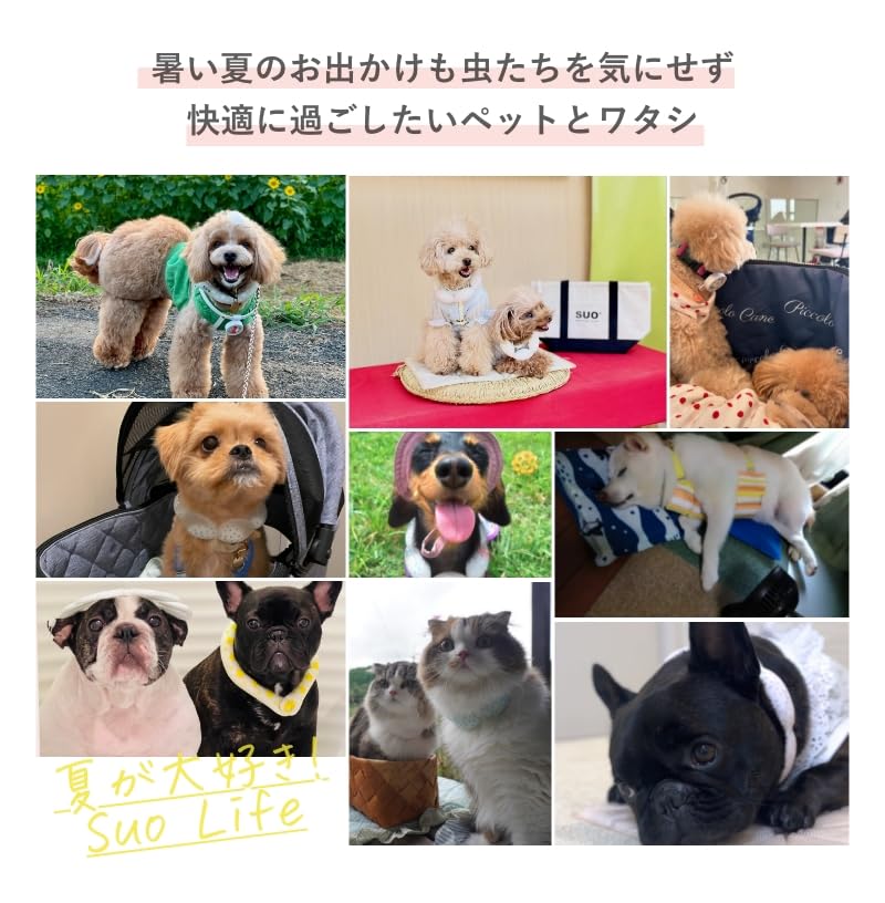 Amazon.co.jp: SUO(R) 公式 2025年 天然オーガニック材料使用 虫よけ