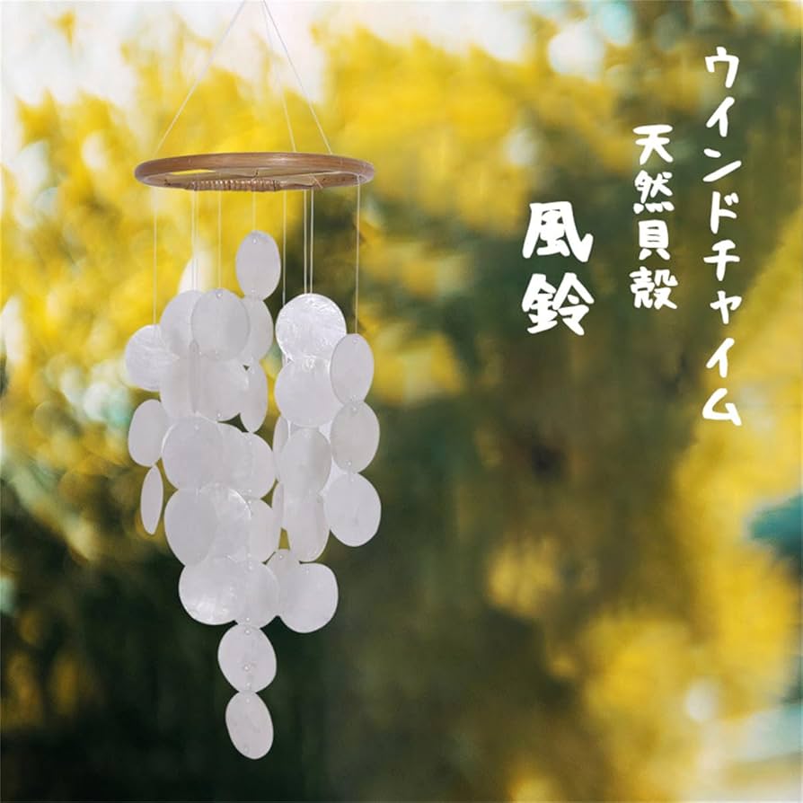 貝殻いろいろ Amazon.co.jp: オーシャンコンク ジャンボ貝殻，天然貝殻、 2色