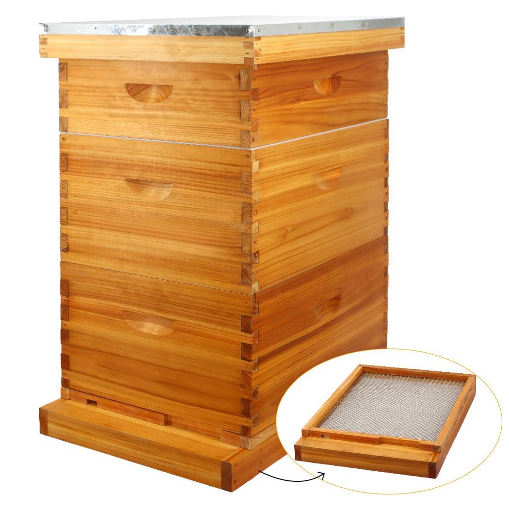 MayBee 10 Frame Screened Bottom Board Beehive Dipped in 100% Beeswax, Bee Hives Kit Includes 2 Deep Boxes & 1 Medium Box with Beehive Frames and Heavy Wax Coated Foundations.Preferred for Summer.