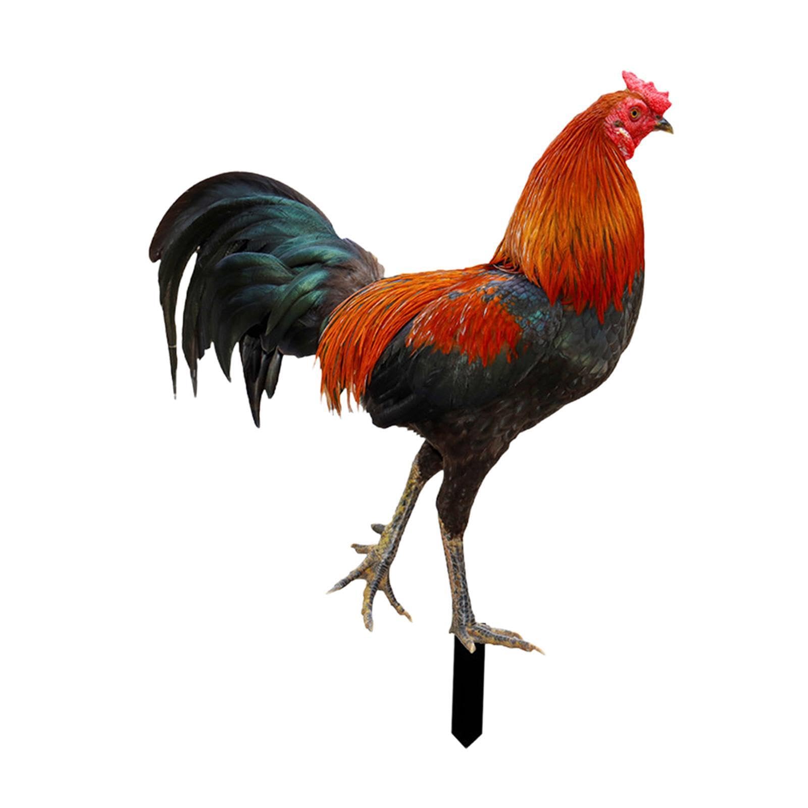 mophrati Rooster Garden Stake Decorative Easy To Install Yard Stakes Fun Outdoor Spring Decor Garden Decor Yard Stake Features Lifelike Rooster Adds Of Fun And
