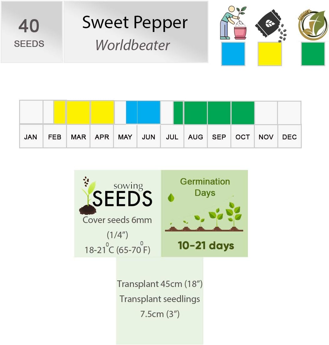 Sweet Pepper Worldbeater Seeds - Pack of 40 Seeds - Green Fruits Maturing to Red - for Salads or Cooking - for Your Kitchen Garden - Image 5