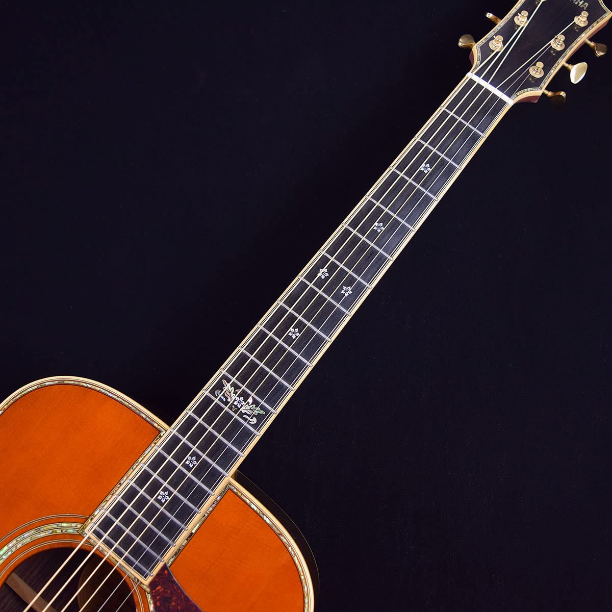Amazon.co.jp: YAMAHA LS66 Custom Special Order 2012年製