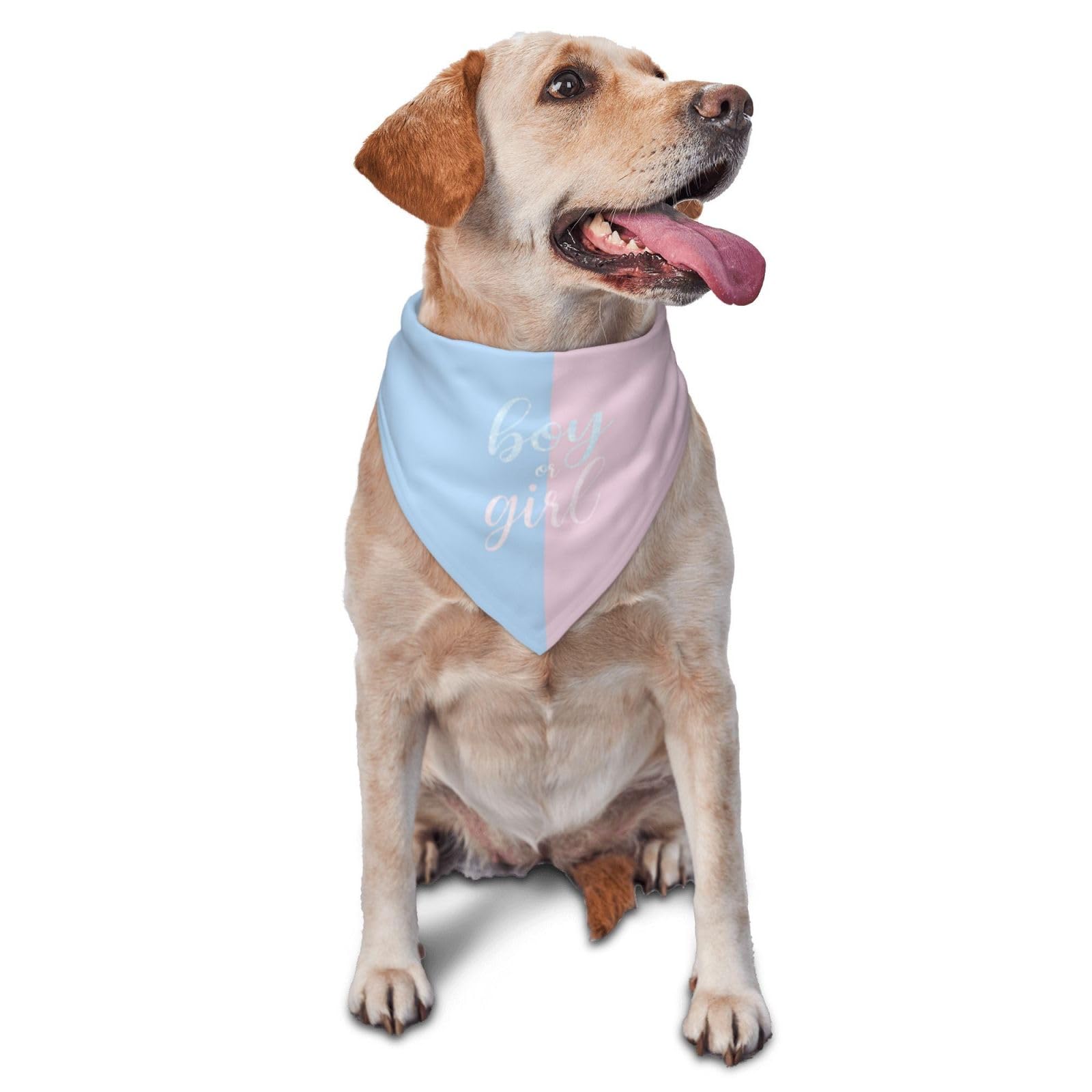 vercosee He Or She What Will It Be? Gender Reveal/Baby Announcement Dog Bandana,Pet Neckerchief for Pets Daily Wear Photo Prop Party Supplies (Sequins