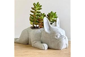 Mini Puppy Planters for Clearance Sales