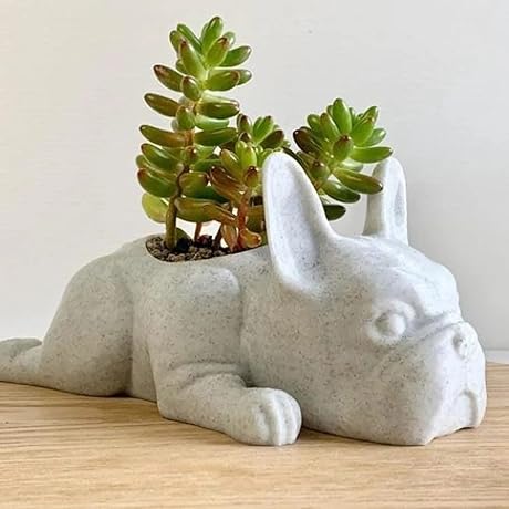 Mini Puppy Planters for Clearance Sales