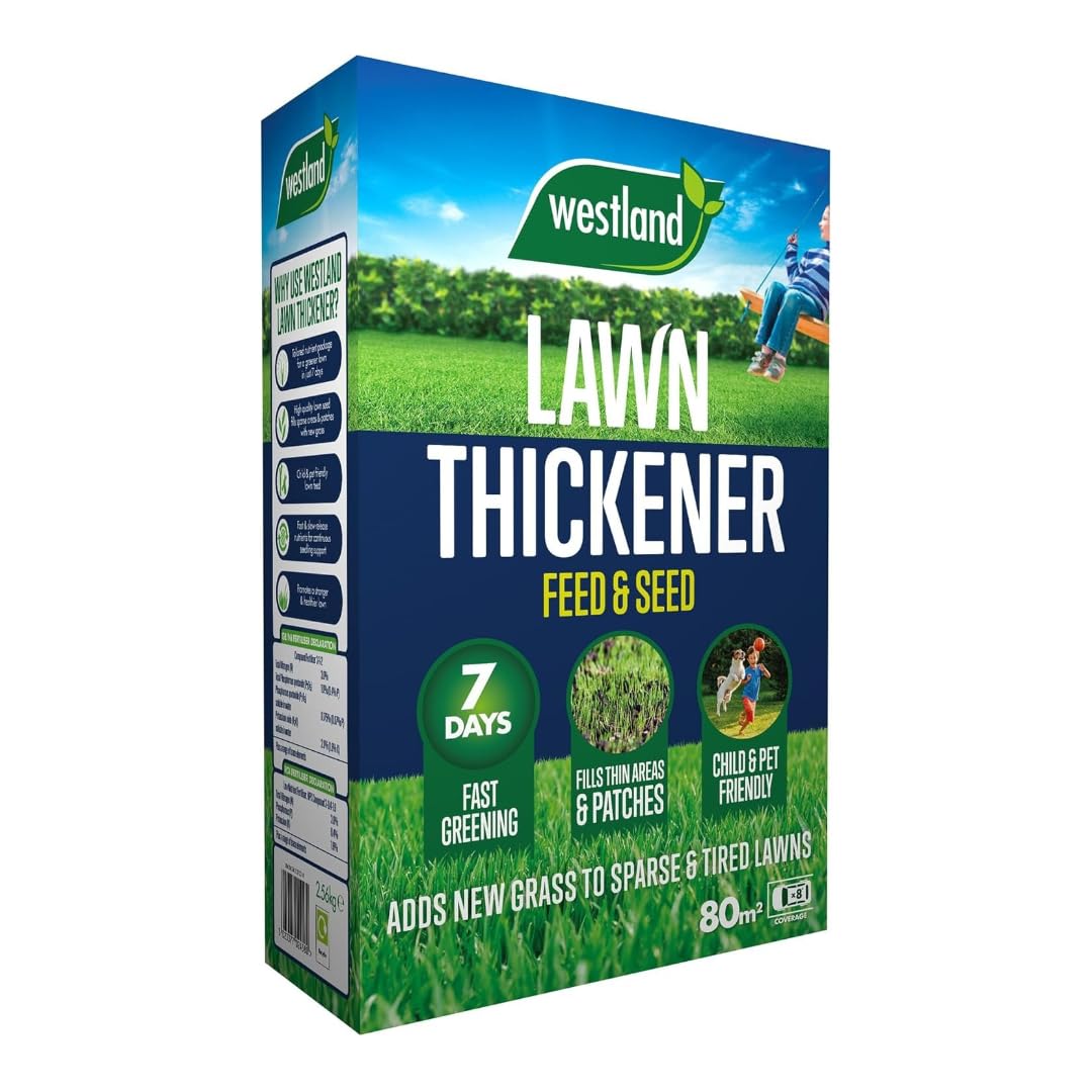 Westland Lawn Thickener Feed & Seed 80m² Box, Lawn Seed & Fertiliser for Established Lawns