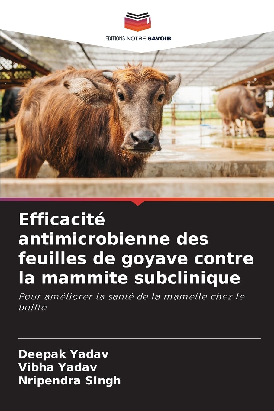 Efficacité antimicrobienne des feuilles de goyave contre la mammite subclinique: Pour améliorer la santé de la mamelle chez le buffle