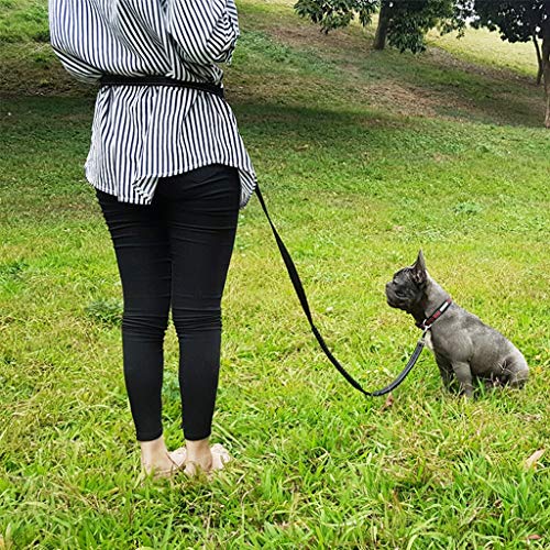 User adjusting dog's reflective leash during training