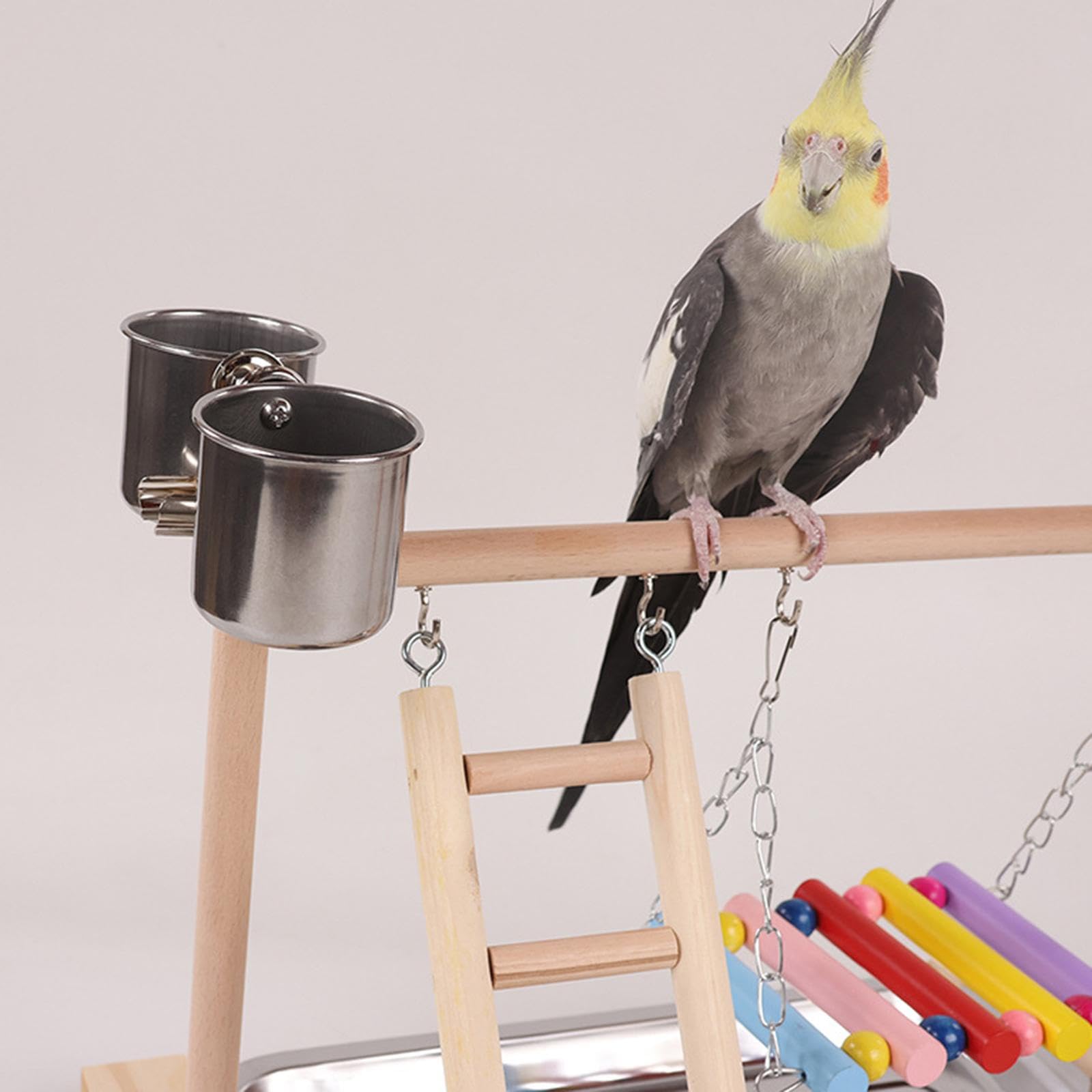 Aire de Jeux pour Perroquets, Facile à Monter, Idéale pour Les Pinsons, Les Conures et Les Aras.
