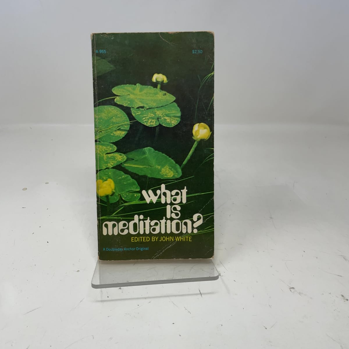 What Is Meditation? White, John Warren - PT05