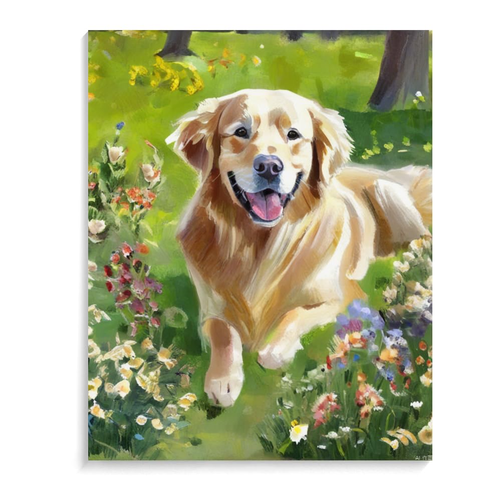 Paint by Numbers for Adults Beginners Golden Retriever Dog Gift Birthday Anniversary or Any Festival. DIY Acrylic Painting Kit for Room Decor Canvas 12x16inch(30x40cm) Frameless