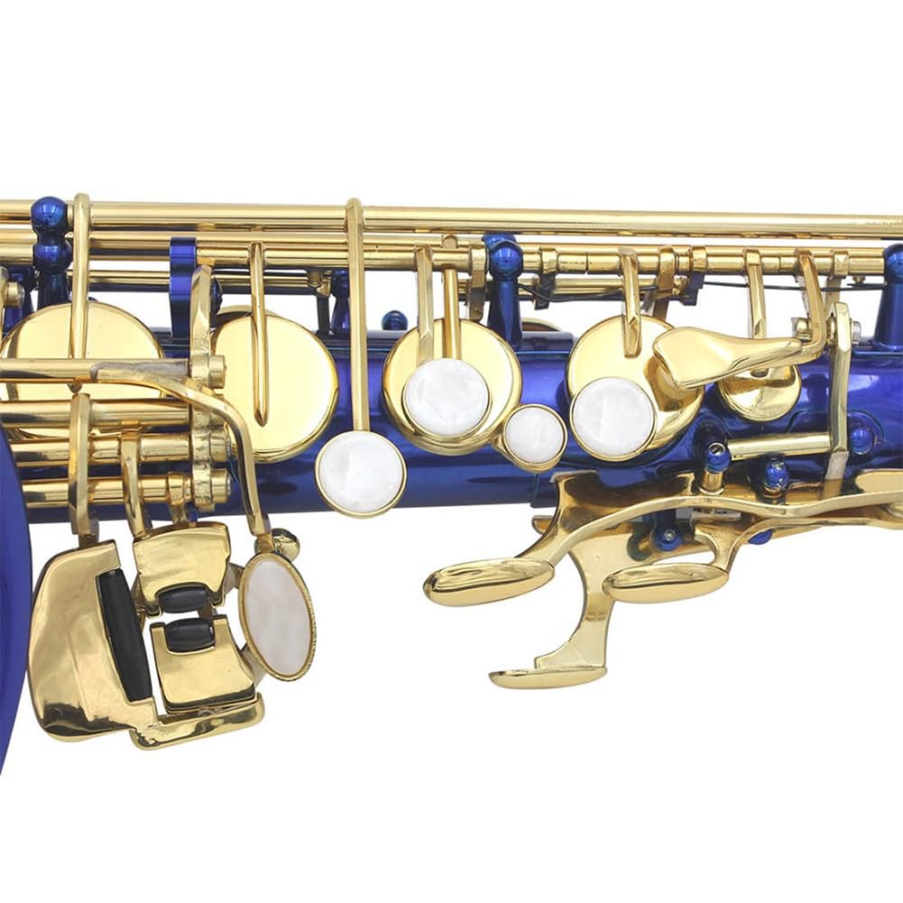 Sassofono contralto Eb Sassofono contralto in ottone for principianti e studenti, kit completo for sax mi bemolle con custodia for sax, kit di pulizia e cura (Color : Blue)