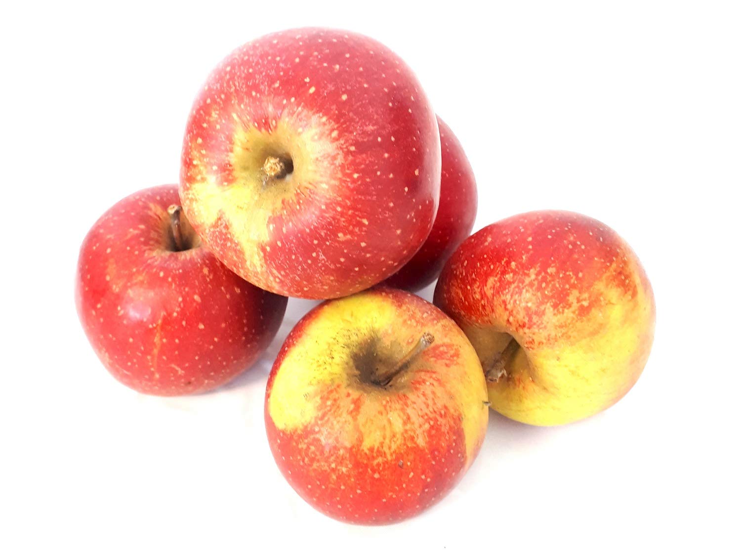 Äpfel Wellant Allergikerapfel aus Deutschland Bodensee 1-10 KG