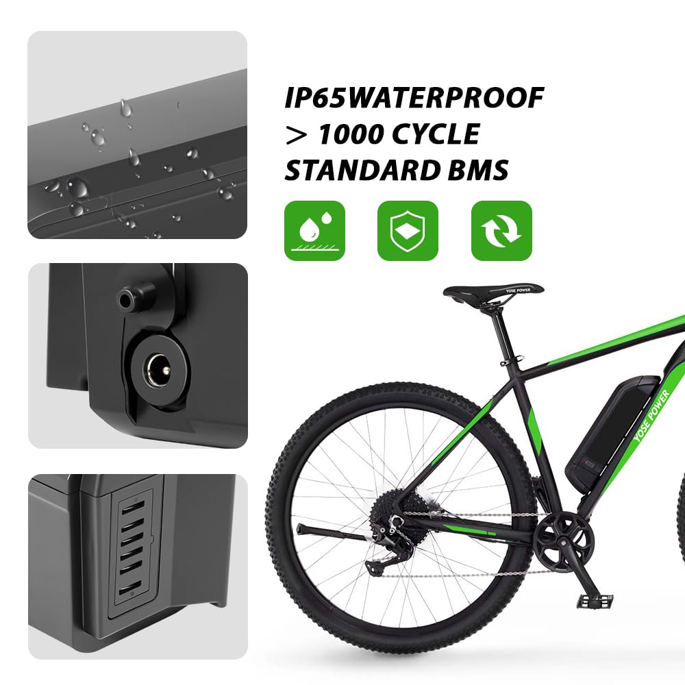 E-Bike 48V 11,6Ah Li-ion Batterie mit Ladegerät Phylion Akku SF-06S JCEB480-11.6 für 250W-800W E-Bikes Pedelecs von Fischer (48V 11,6Ah)