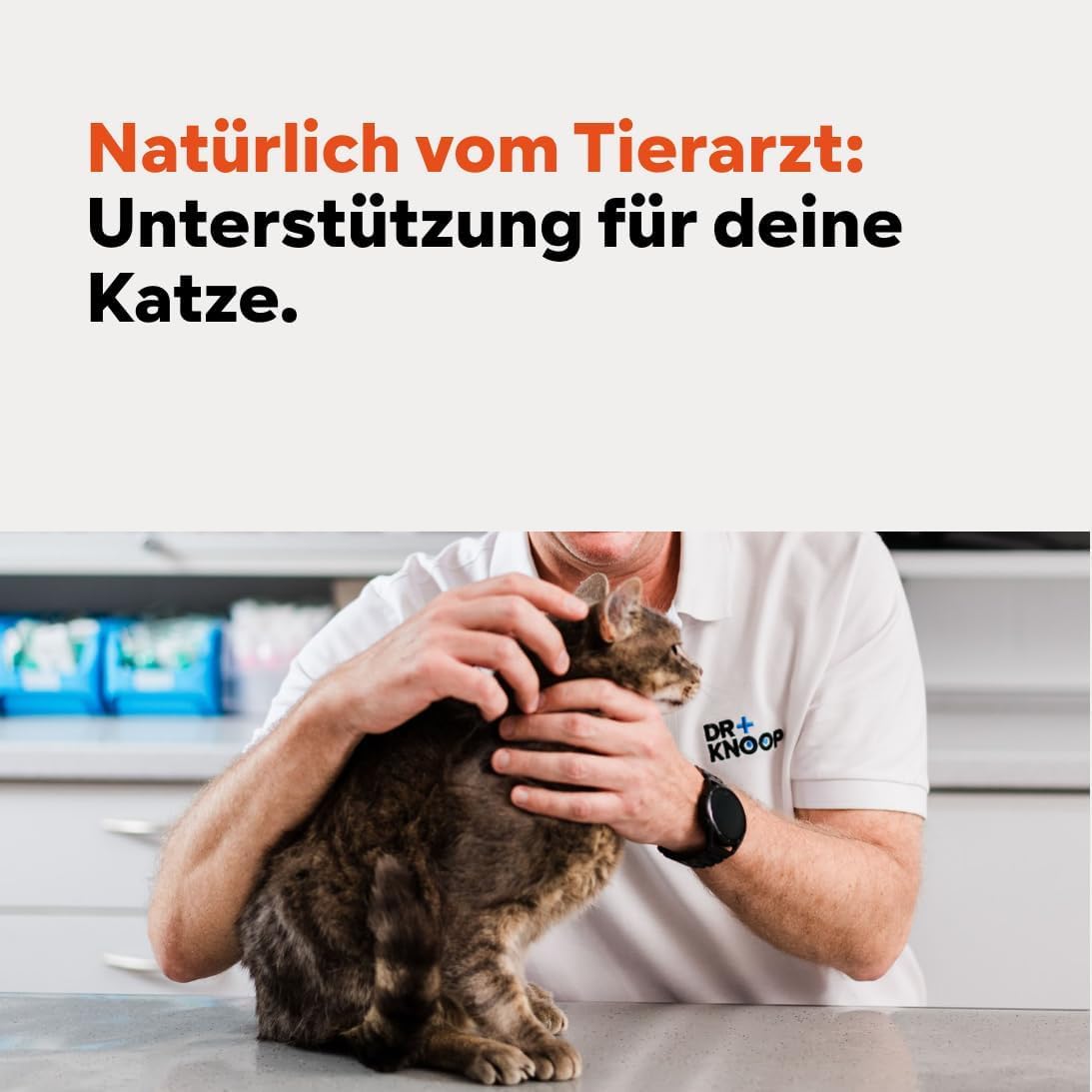 HGM Magenschutz Pulver für Katzen – bei Sodbrennen – Beigabe zum Katzenfutter – entwickelt von Tierarzt Dr. Knoop - 2 x 60 g | Anti Hairball Katze
