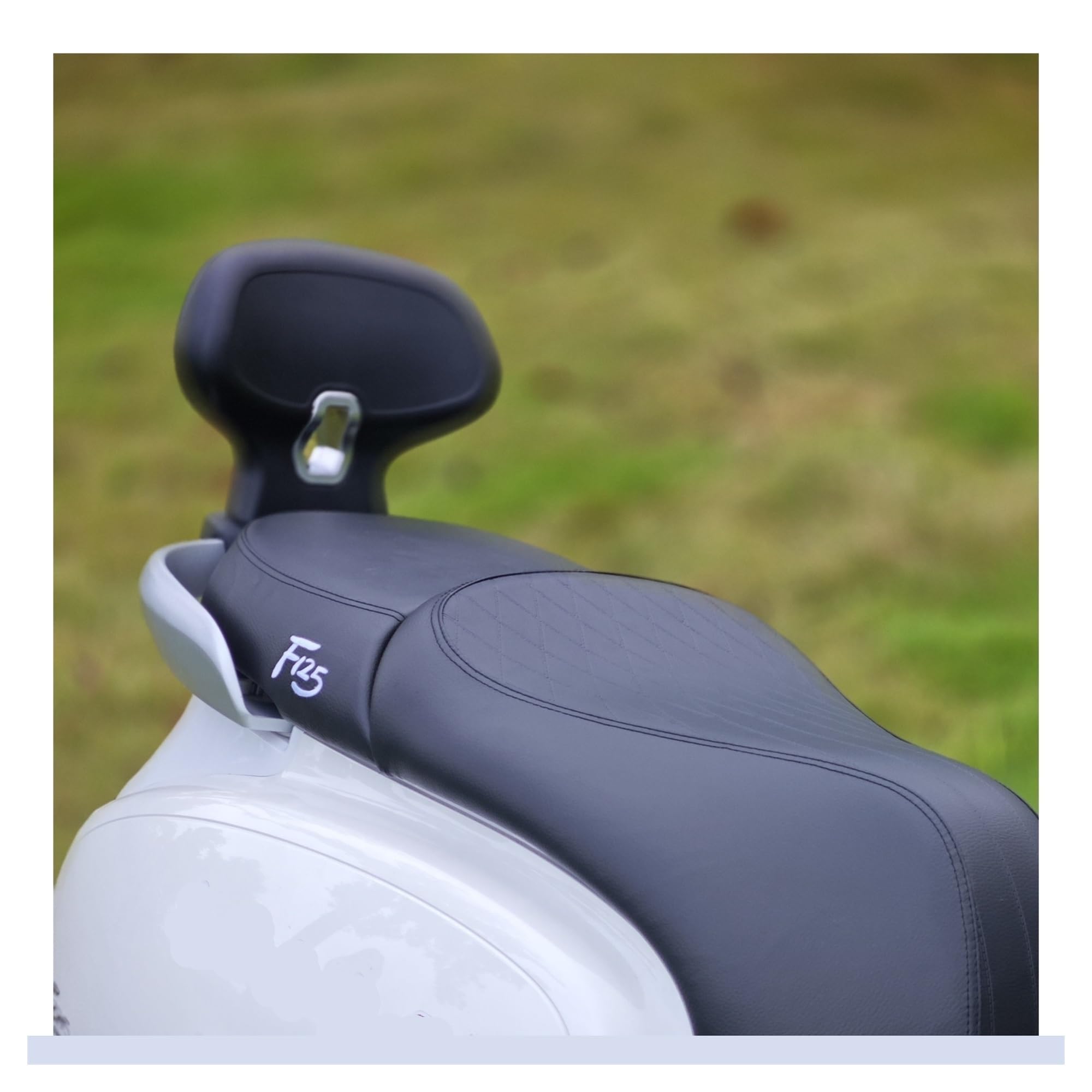 Motorrad Hintere Rückenlehne Modifiziertes Motorrad-Ersatzteil F125 Für NWF125-Rückenlehnen Bequemer Polster Für Den Hinteren Passagierbereich Sissybar(Black-Silver Base)