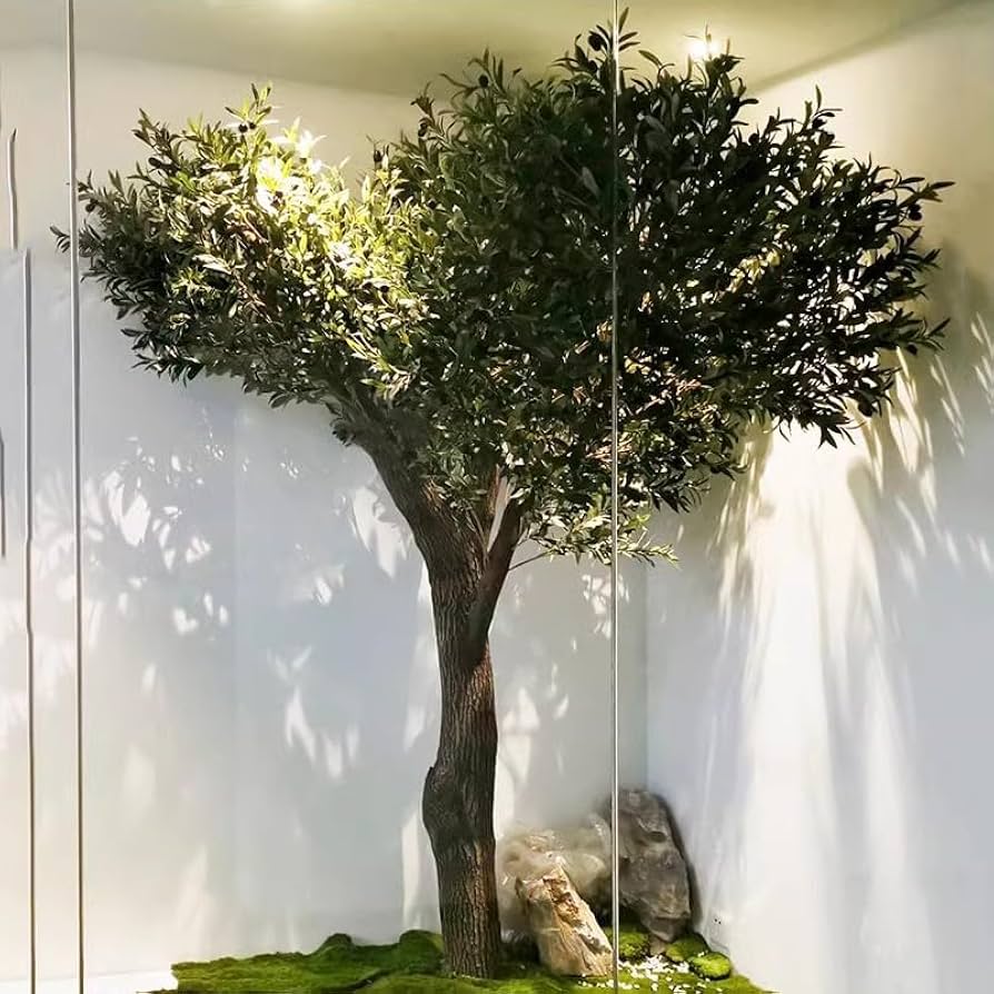 オリーブ　ペンドリノ　太幹　植物　インテリア オリーブ ペンドリノ 太幹 植物 インテリア