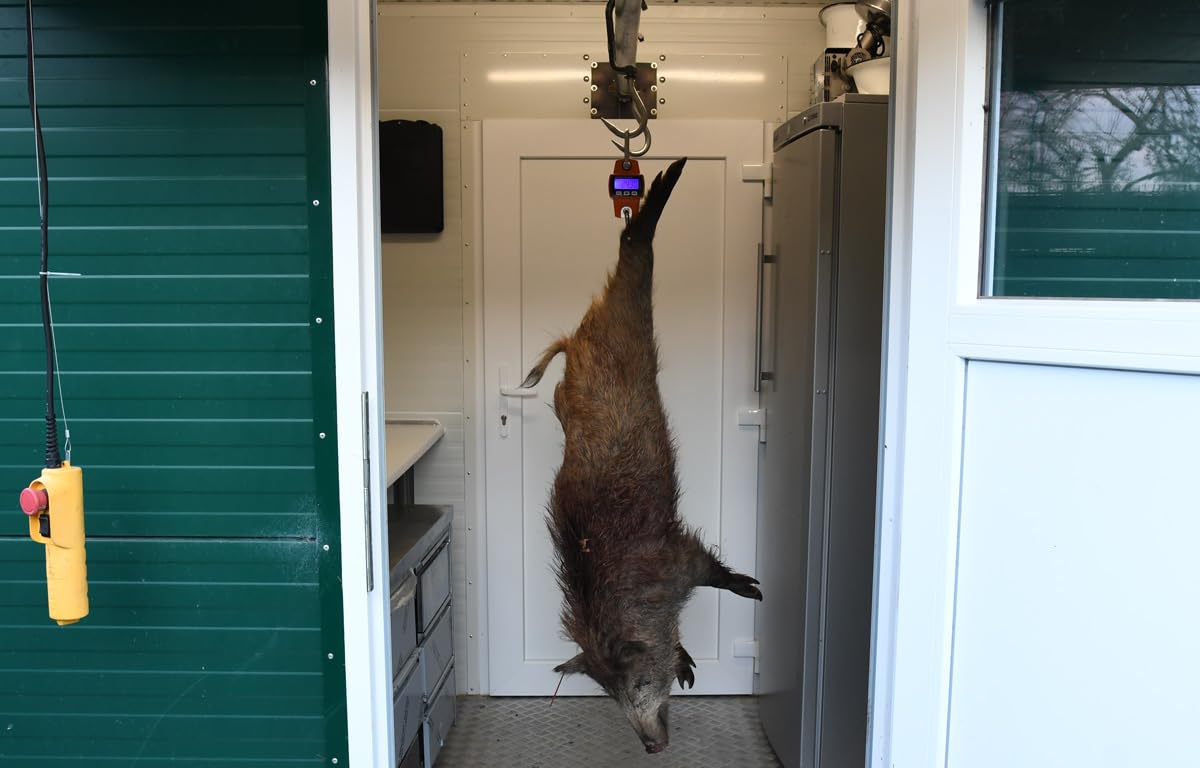 Báscula digital para pesca de caza de hasta 300 kg, con pantalla iluminada, mosquetón, gancho en S, báscula colgante para industria, caza, pesca, pesca, granja, producción de carne, venado