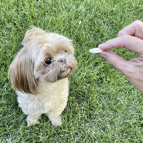 Pupford Freeze Dried Banana Chip Puppy & Dog Treats, Natural, Healthy, Low-Calorie Reward for Small, Medium, and Large Breed Dogs (3 oz) miniatura 5