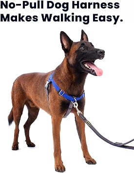 APDEX Easy Walk Freedom No Pull Dog Harness (Medium) + Two Handle Dog Leash 6FT-3/4'