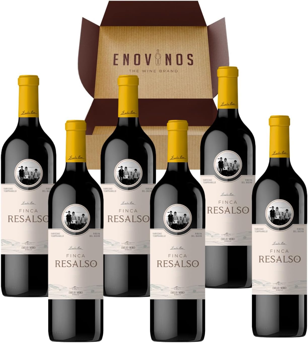 Vino Finca Resalso - x6 Botellas Vino Tinto 100% Tempranillo 75 cl - Mejor Selección ENOVINOS
