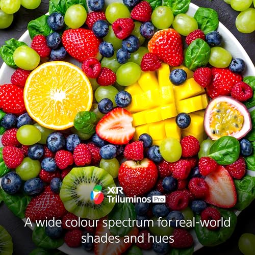 Image of Sony Bravia 139 cm (55 inches) XR Series 4K Ultra HD Smart Full Array LED Google TV S XR-55X90K 1 (Black)