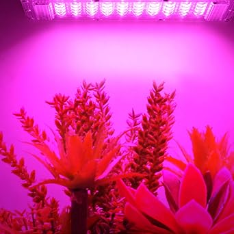 LED Grow LightLED Grow Light Plant Growing Bulbs 100W 220V Lamps with Red Blue Full Spectrum for Greenhouse Hydroponic Vegetables Red Blue White