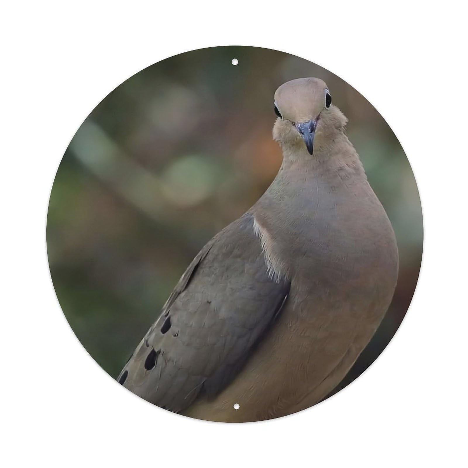 Animal Birds Mourning Dove 2 Vintage Metal Tin Sign Plaque Wall Decor for Cafe, Club Bar, Office, Garden Metal Poster 8x8Inch