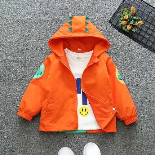 PINU Cartoon Dinosaur Series Zip Coat Thin Fashion Cute Hooded Jacket for Little Boys Girls Spring Autumn Summer3
