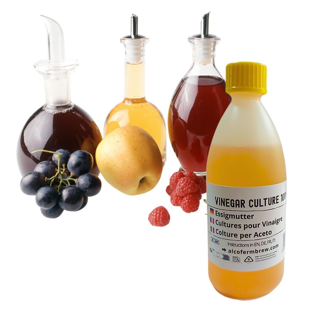 Mère de vinaigre 100 ml, Bactéries acétiques pour fermentation, Culture de fermentation maison, Acetobacter