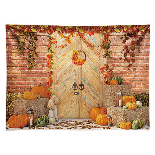 Econ Fotohintergrund für Herbst/Ahornblätter, 20,3 x 183 cm, aus Polyester, rustikaler Tür, Landschaftsbild, Foto-Hintergrund