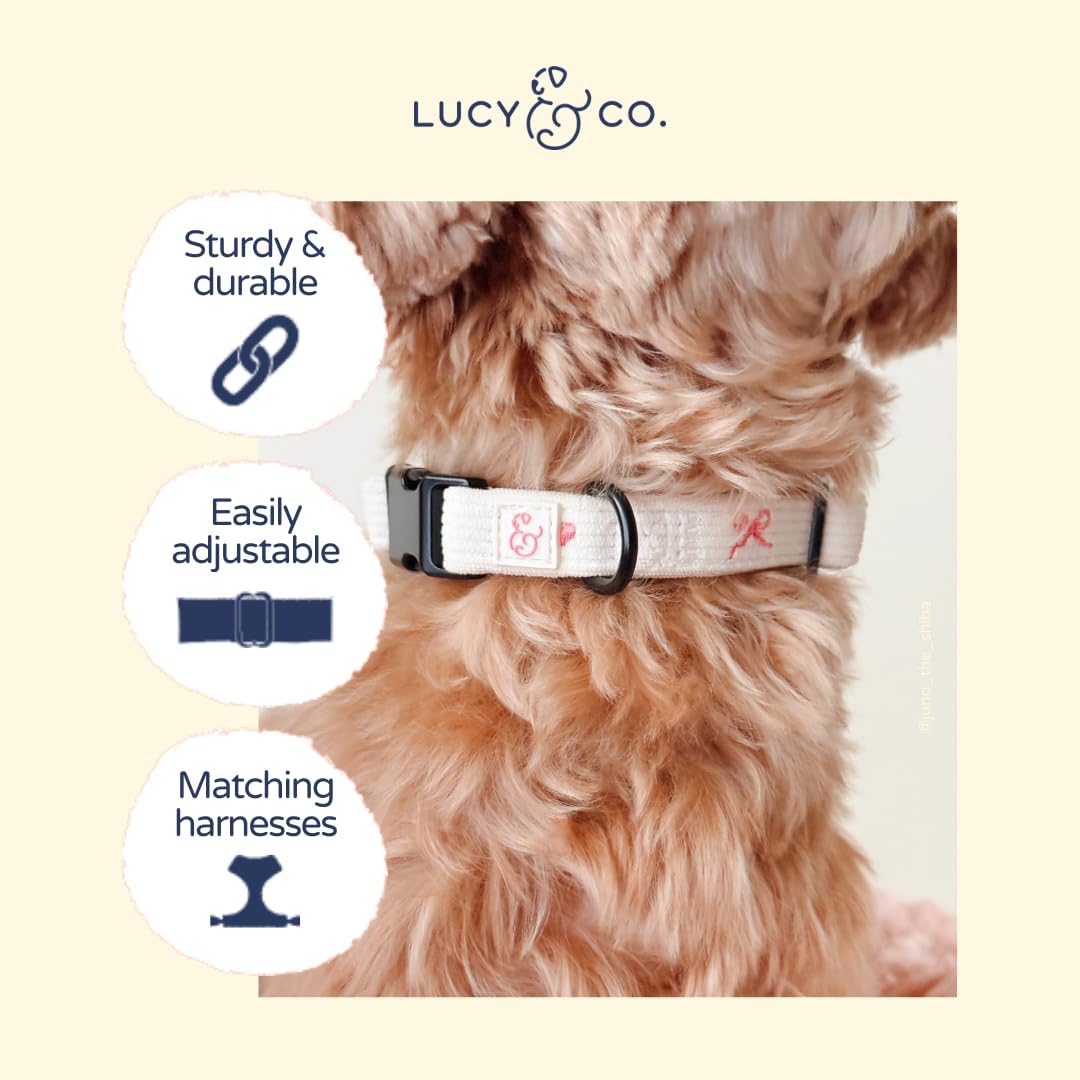 Lucy & Co. Ever So Sweet Dog Collar, Adjustable Durable Dog Collar with Cute Print, Large