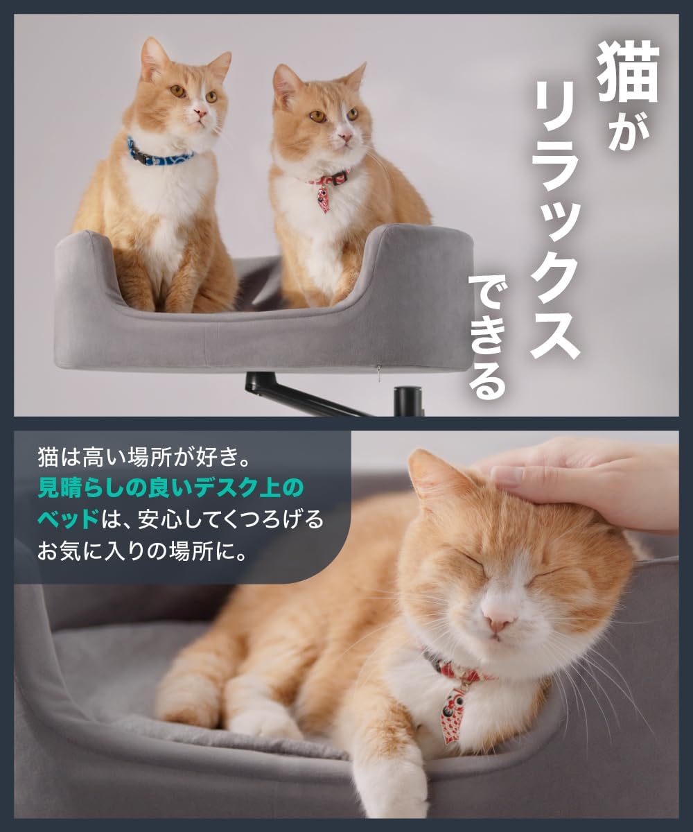 LOE(ロエ) 【日本企画】 新発想 キャットアーム 猫ベッド｜省スペース Amazon.co.jp: LOE(ロエ) 【日本企画】 新発想 キャットアーム 猫