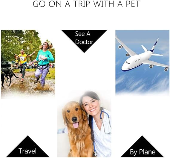 Pet Carrier Airline Pet Kennel Top Load 360 Degree Ventilation Pet Carrier for Kittens Pet Sky Kennel Color: Blue, Size: 60 x 39 x 35cm