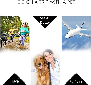 Pet Carrier Airline Pet Kennel Top Load 360 Degree Ventilation Pet Carrier for Kittens Pet Sky Kennel Color: Blue, Size: 60 x 39 x 35cm