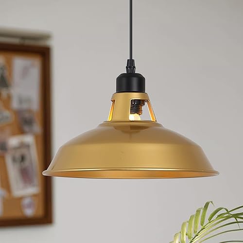 Miniatura 5 de SUNLLOK Lámpara colgante de jaula rústica industrial, polea de tubo de elevación, lámpara colgante retro ajustable con interruptor - Candelabro de